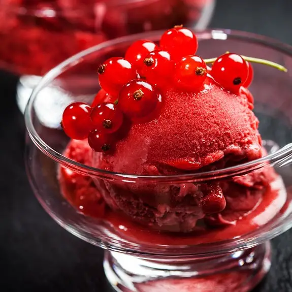 The Best Cranberry Sorbet Recipe – MY EDIBLE FOOD