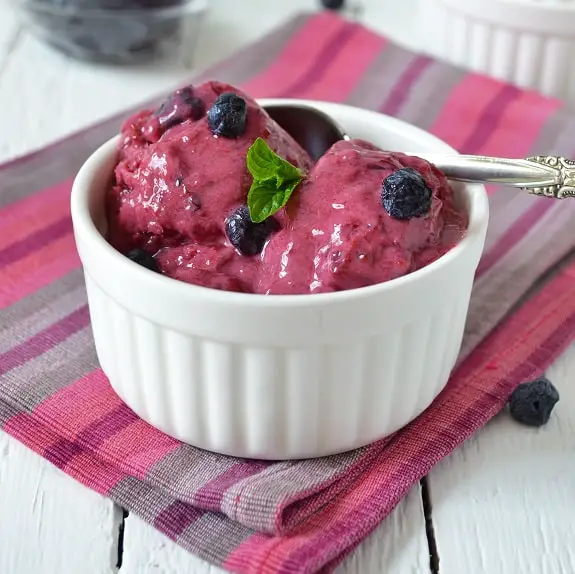 quick and healthy blueberry sorbet recipe