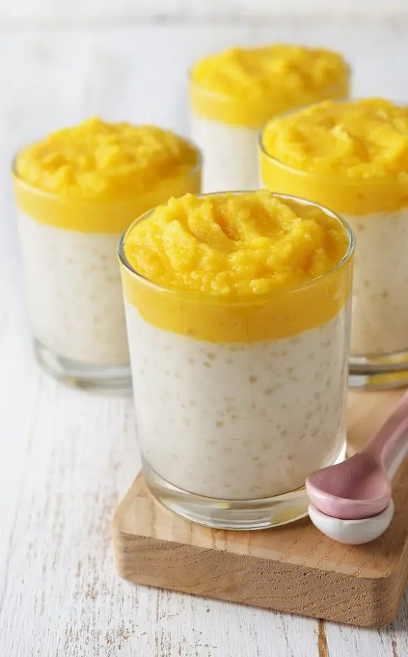 Instant Pot Healthy Tapioca Pudding Recipe MY EDIBLE FOOD