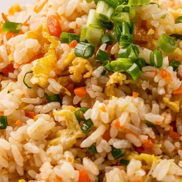 Instant pot teriyaki fried rice recipe. Learn how to cook the best Chinese rice in and instant pot. Super delicious vegetarian recipe. #instantpot #pressurecooker #rice #vegetarian #vegan #dinner #homemade