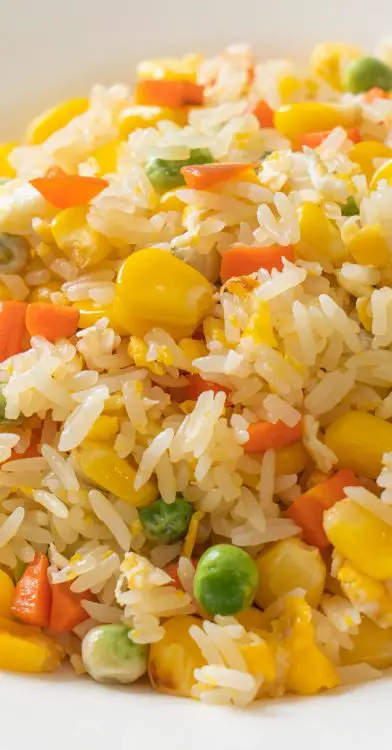 Rich and Tasty Chinese Fried Rice in a Slow Cooker – MY EDIBLE FOOD