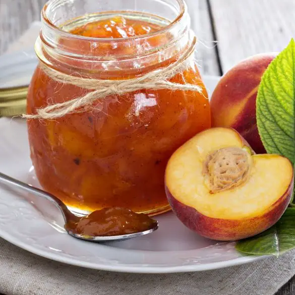 instant-pot-peach-jam Instant pot peach jam. Tired of your old-fashioned, inconsistent peachy jam recipe? Try this easy, fresh, and fabulous instant pot peach jam recipe! #pressurecooker #instantpot #recipes #desserts #peaches #jam #breakfast #vegetarian #vegan #healthy