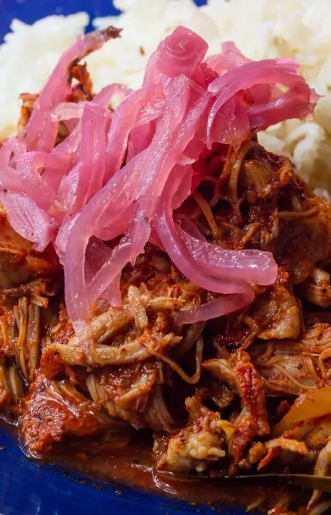 Slow Cooker Cochinita Pibil – MY EDIBLE FOOD